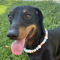 Un collar precioso, que no pesa y queda super bonito. Nos ha encantado. El envio fue super rapido y con unas palabras personalizadas. Volveremos a comprar. Muchas gracias. ❤️