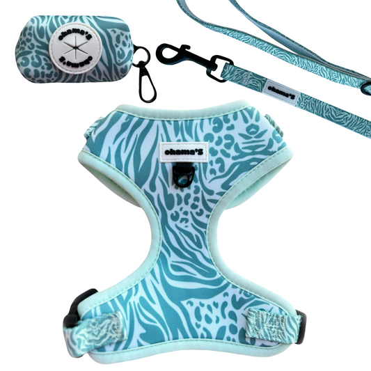 Pack ahorro animal print